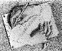 [Drawing Hands]
