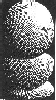 [Three Spheres I]