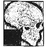 [Skull]