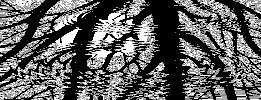 [Rippled Surface]