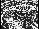 [St. Peter]