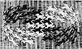 [Swans]